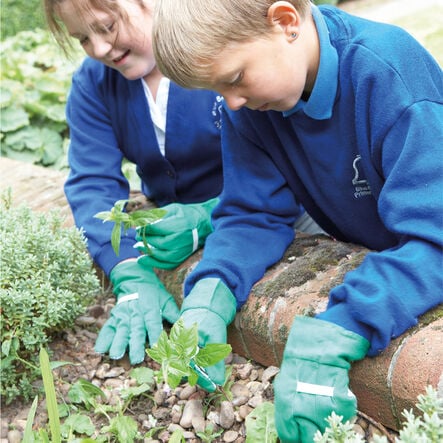 Child Size Gardening Gloves 5pk  hi\-res