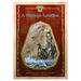Titans Gauntlets Phonic Reading Book Pack 10pk  hi\-res