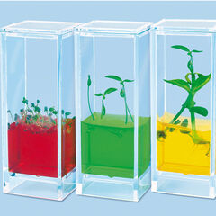 See Plants Grow Laboratory  See Plants Grow Laboratory  hi-res