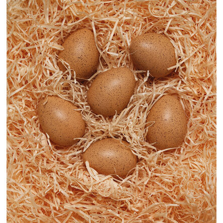Sensory Sound Eggs 6pk  hi\-res