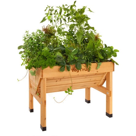 Veg Trug Planter Natural Wood  hi\-res