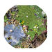 Active World Tuff Tray Minibeast Photographic Mat  hi\-res