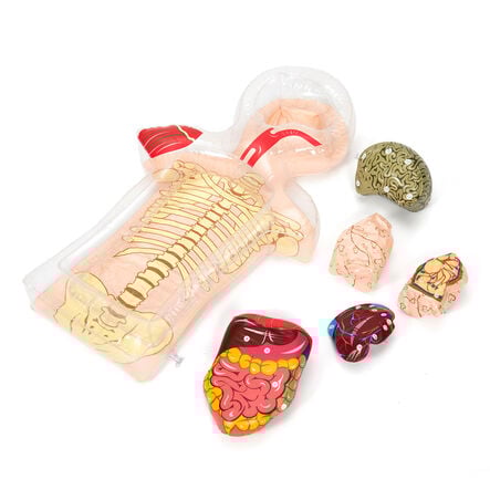 Healthy Living PSHE Activity Set  hi\-res