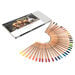 Rembrandt Polycolor Colouring Pencils Assorted  hi\-res