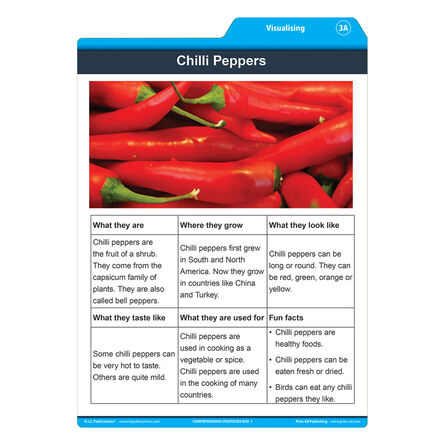 Comprehension Strategies  hi\-res