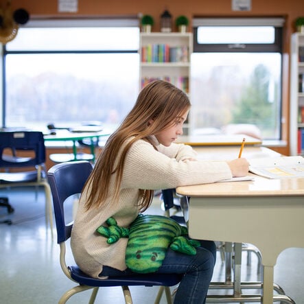 Manimo Weighted Frog 2.5kg  hi\-res