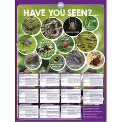 TTS Identifying Minibeasts Playground Sign  TTS Identifying Minibeasts Playground Sign  hi-res