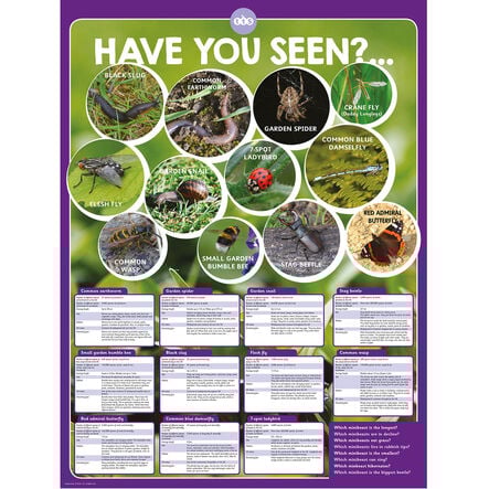 TTS Identifying Minibeasts Playground Sign  hi\-res