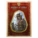 Titans Gauntlets Phonic Reading Book Pack 10pk  hi\-res