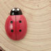 Ladybird Counters and Cards  hi\-res