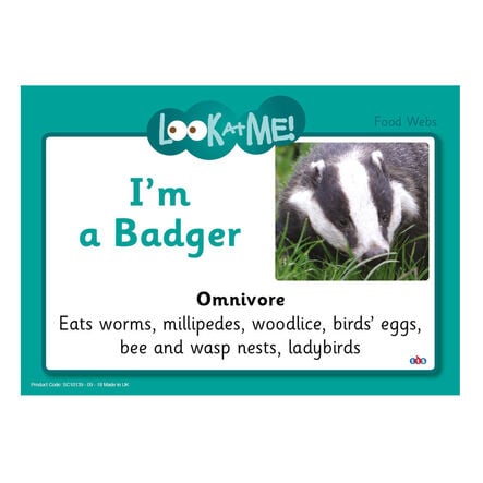 TTS Food Web \- Activity Cards  hi\-res