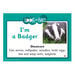 TTS Food Web \- Activity Cards  hi\-res