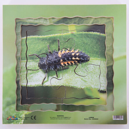 Insect Layered Life Cycle Jigsaws 4pk  hi\-res