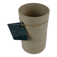 TTS White Firing Stoneware Clay 12.5kg  hi-res