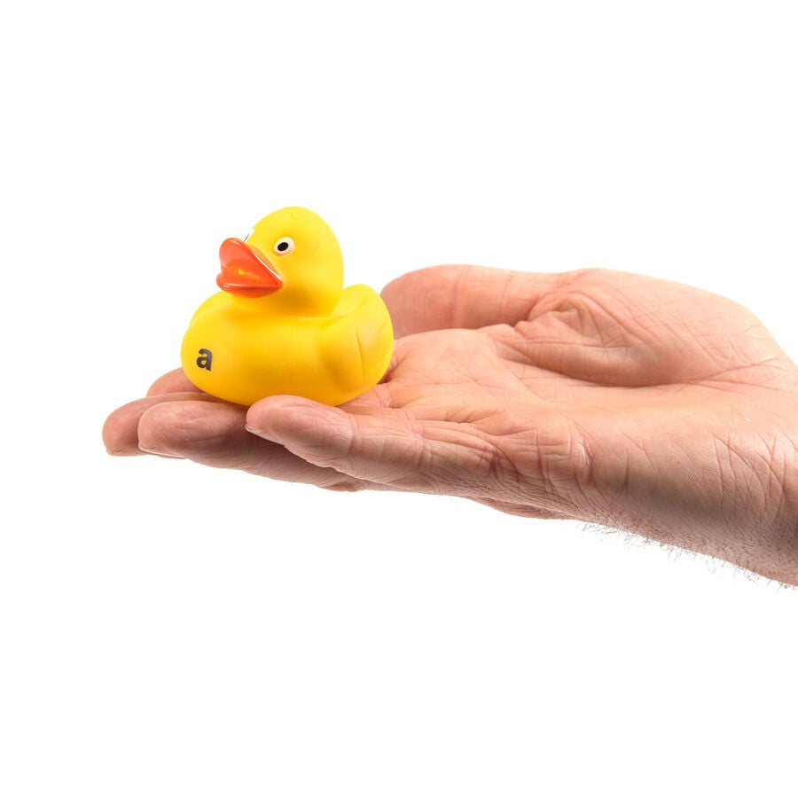 Abc rubber ducks deals