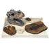 Dinosaur Fossil Kit  hi\-res