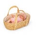 Doll\'s Moses Basket with Bed Set  hi\-res