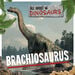 Amazing Dinosaurs Books  hi\-res