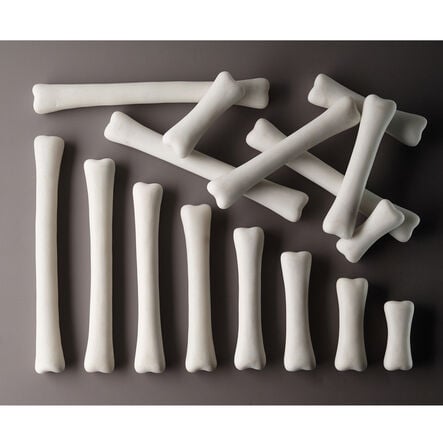 Match and Measure Activity Cards for Dinosaur Bones 16pk  hi\-res