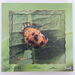 Insect Layered Life Cycle Jigsaws 4pk  hi\-res