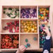 Wooden Sorting Tray 14 way  hi\-res