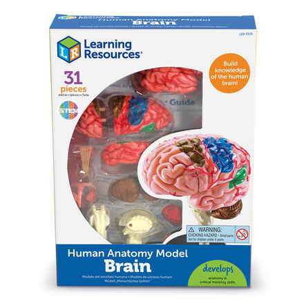 Learning Resources Complete Anatomy Models  hi\-res
