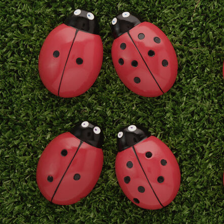 Ladybugs Counting Activity Cards 16pk  hi\-res