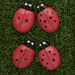Ladybugs Counting Activity Cards 16pk  hi\-res
