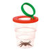 Bug Viewer Pot  hi\-res