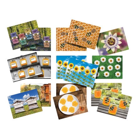 Honey Bee Number Stones  hi\-res