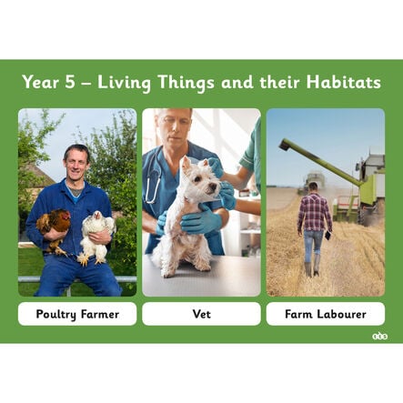 TTS Who Needs Science? \- Activity Cards Activity Cards LKS2  hi\-res