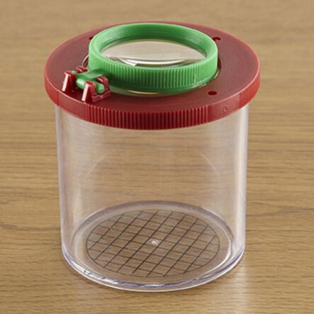 Bug Viewer Pot  hi\-res