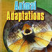 KS2 Evolution and Adaptation Book Pack \- 10pk  hi\-res