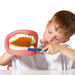 Giant Teeth and Toothbrush Model  hi\-res