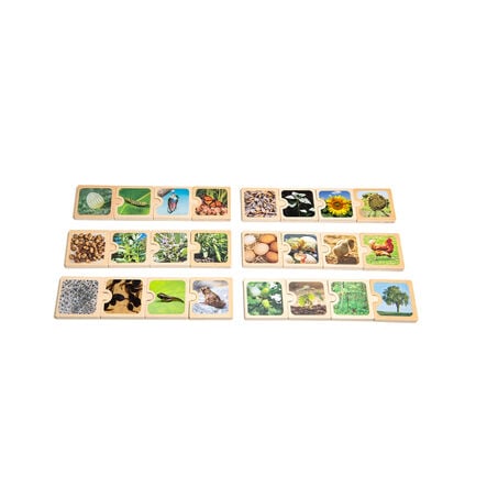 Life Cycles Puzzle  hi\-res