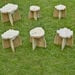Storytellers\' Outdoor Wooden Chair  hi\-res