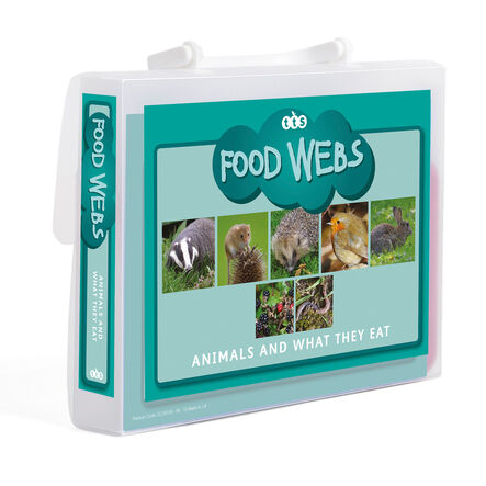 TTS Food Web \- Activity Cards  hi\-res