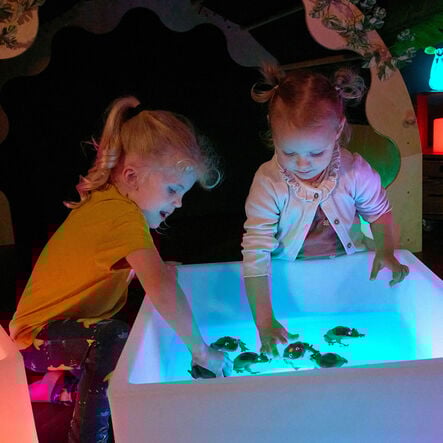 Terrific Talking Frogs  hi\-res