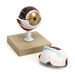 3x Life Size Human Eye Model  hi\-res