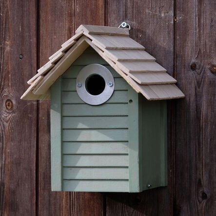 Bird Box  hi\-res