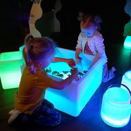 Terrific Talking Frogs  hi\-res