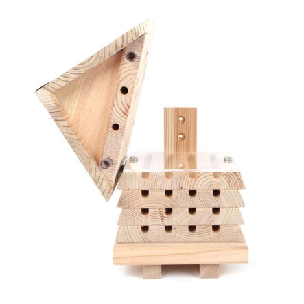 Solitary Bee flip Top Hive  hi\-res