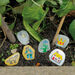 Fairy Tale Story Stones  hi\-res