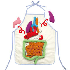 Human Anatomy Apron  hi-res
