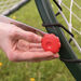 TTS Double Sided Circular Net Rebounder  hi\-res