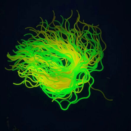 Stretch and Glow Fidget Spaghetti  hi\-res