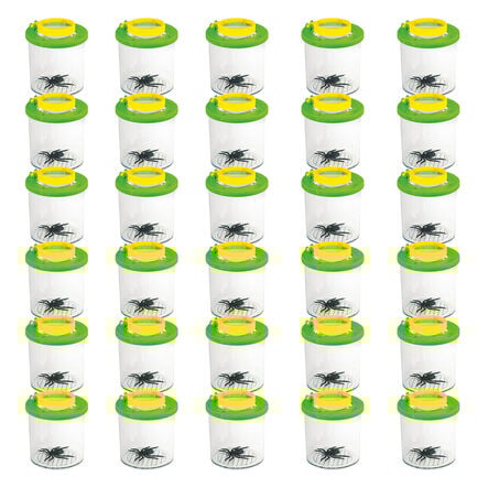 Bug Viewer Pot  hi\-res