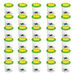 Bug Viewer Pot  hi\-res