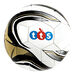 TTS Value Training and Match Footballs  hi\-res