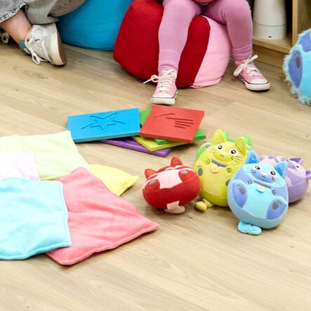 TTS Calming Kittens and Calming Cat Regulation Collection 19pcs  hi\-res